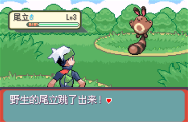 宝可梦朱紫
