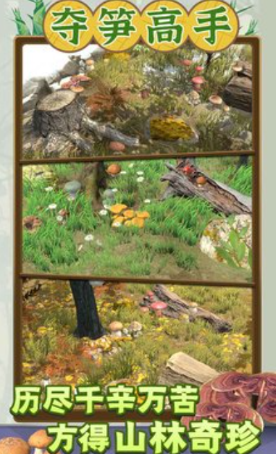 夺笋高手免广告版