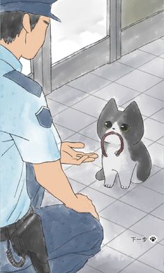 迷途猫3