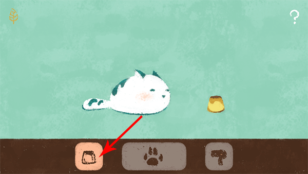 养只小猫