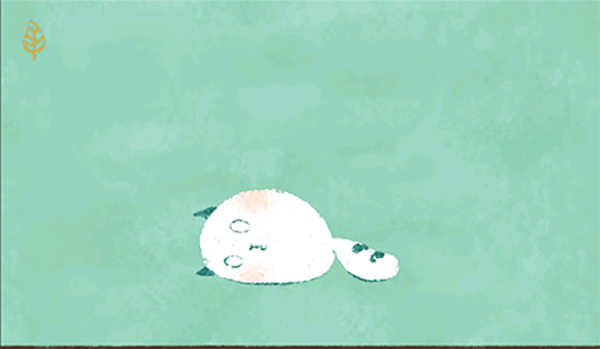 养只小猫