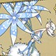 牧羊人之心官网版