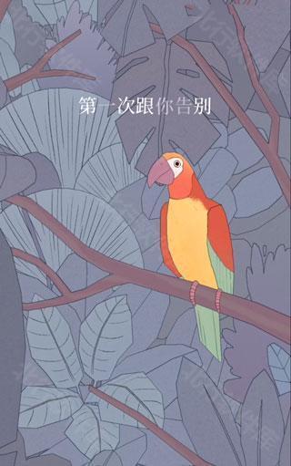 孤独的鸟儿