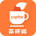 茶杯狐最新