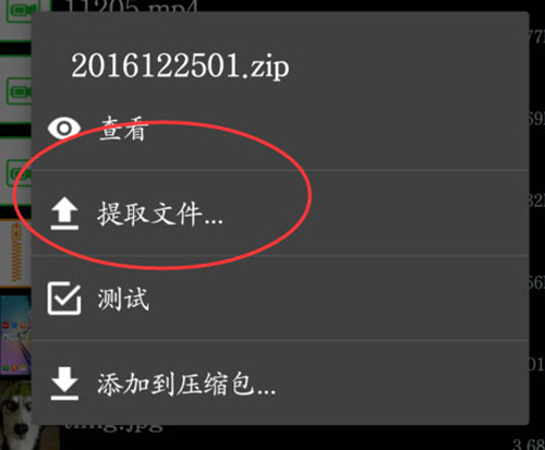 ZArchiver绿色版