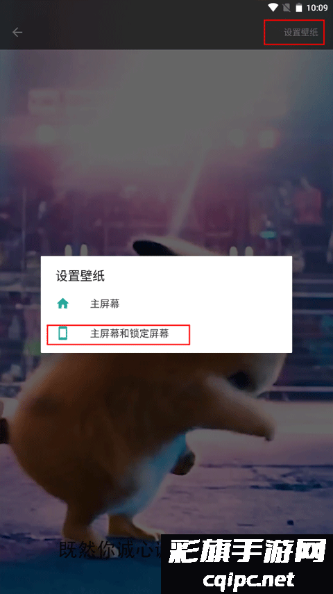 皮皮桌面壁纸
