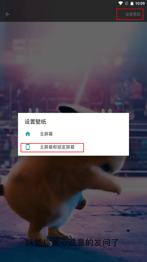 皮皮动态壁纸