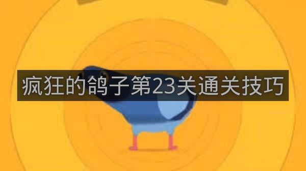 疯狂的鸽子第23关通关技巧-疯狂的鸽子第23关怎么过