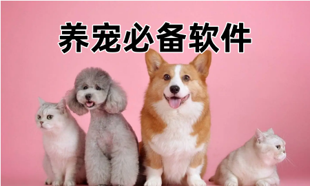 养宠必备软件