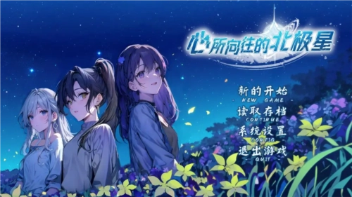 心所向往的北极星完整版