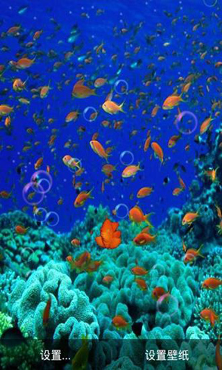 3d海底世界动态壁纸