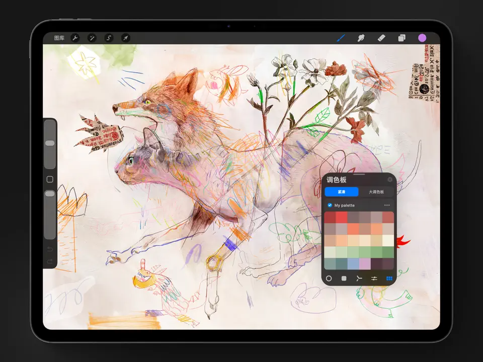 procreate绘画